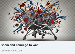 Shein and Temu go to War